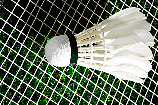 kaiyun官方网站登录入口